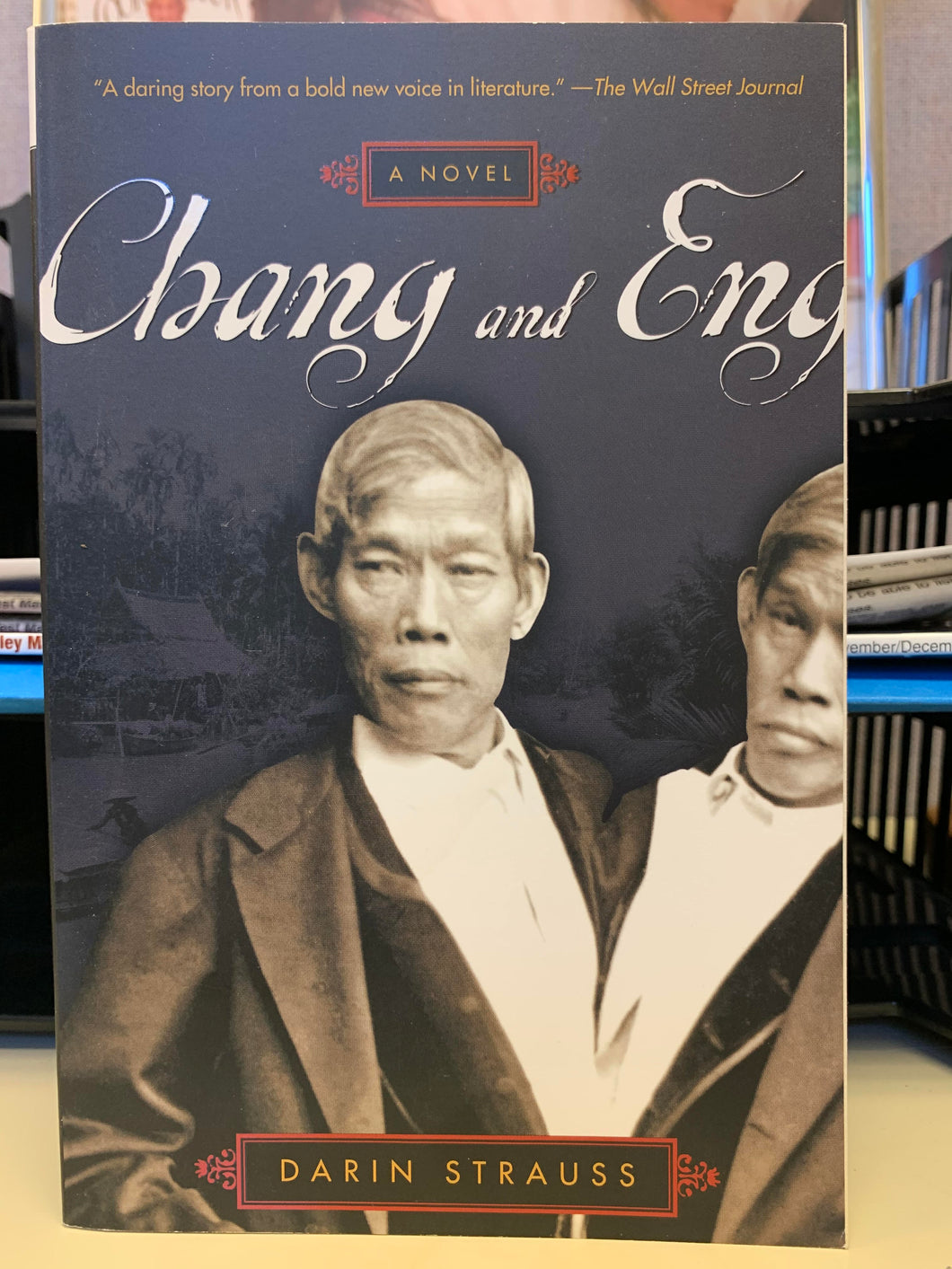 Chang & Eng: A Novel by Darin Strauss