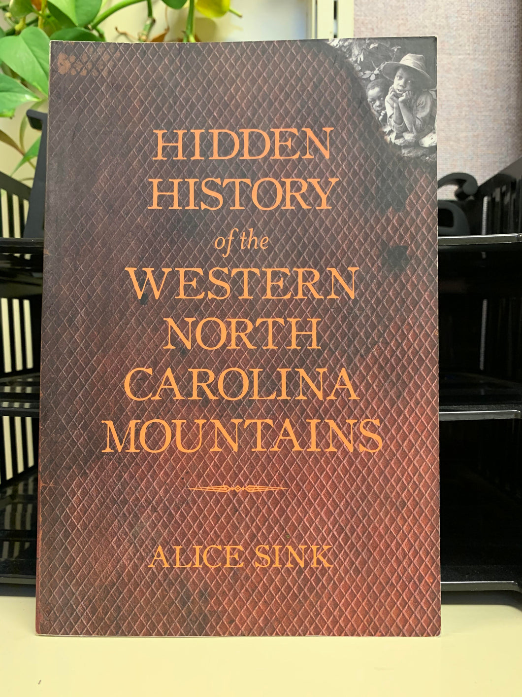 Hidden History of the Western North Carolina Mountains by Alice Sink