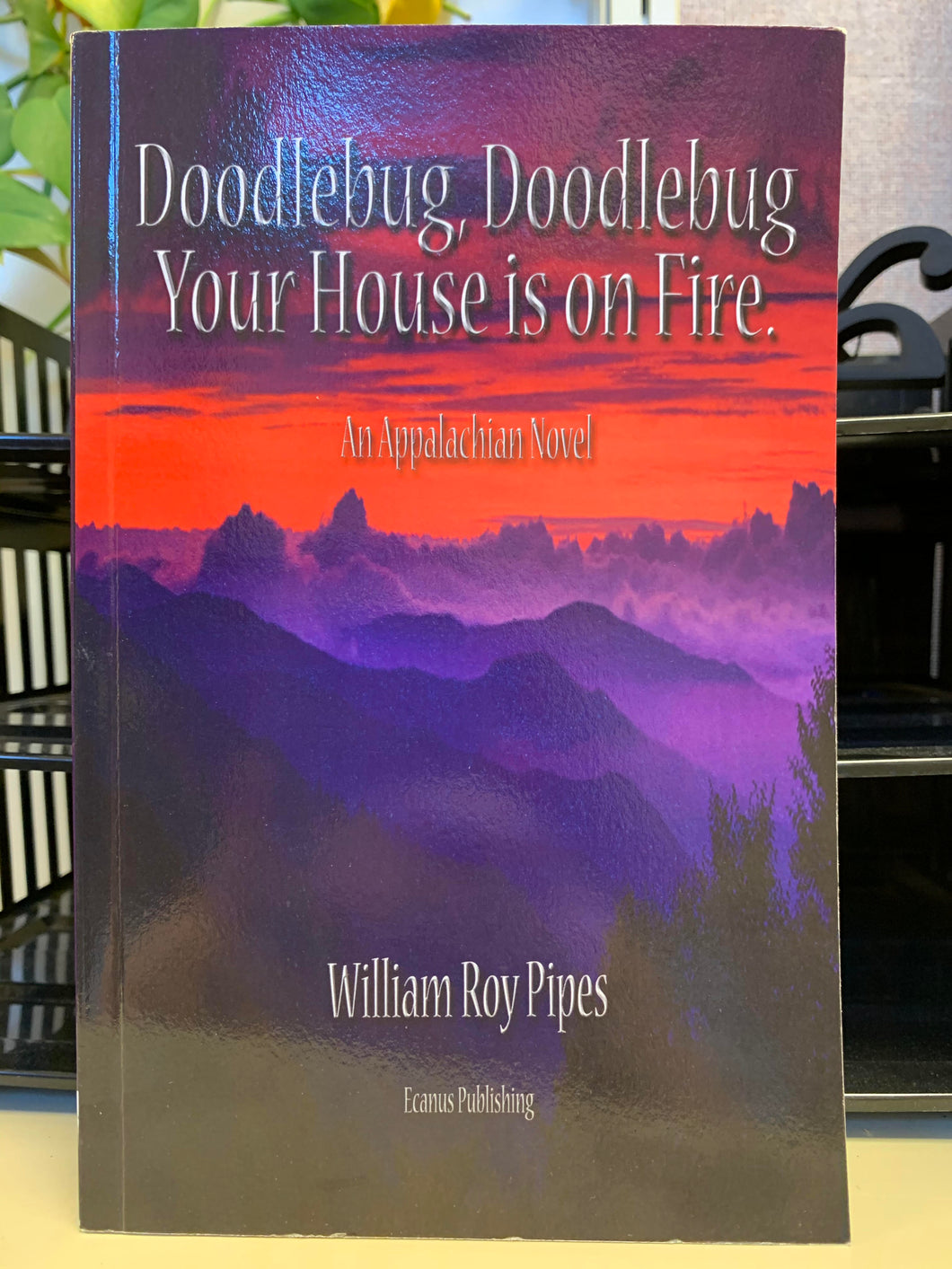Doodlebug, Doodlebug, Your House is on Fire by William Roy Pipes